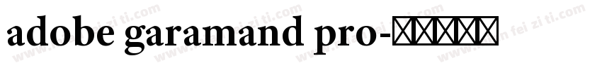 adobe garamand pro字体转换